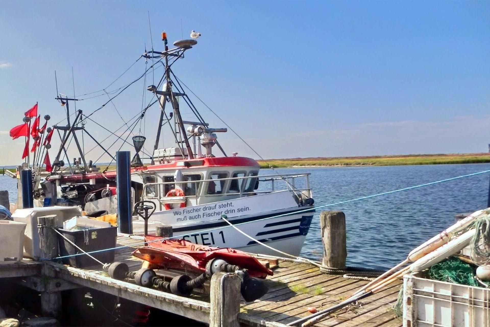 Yachtenkieker Wendtorf Buitenkant foto
